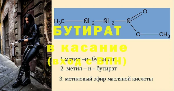 крисы Кулебаки