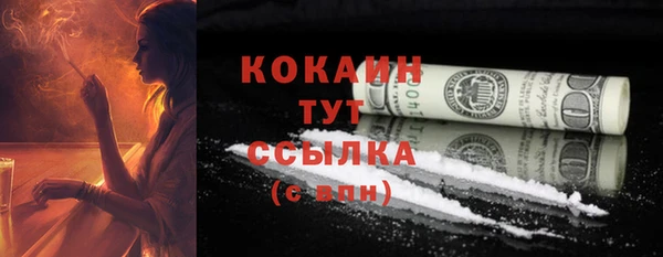 шишки Кукмор