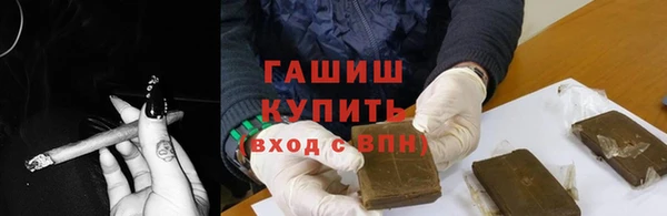 крисы Кулебаки