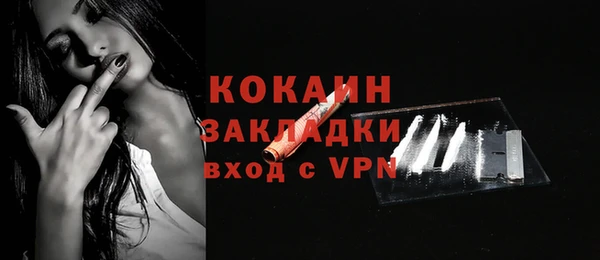 крисы Кулебаки