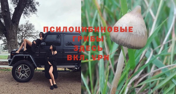 2c-b Краснотурьинск