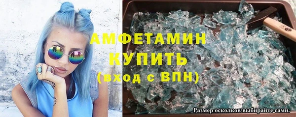 крисы Кулебаки