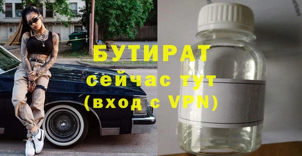 крисы Кулебаки