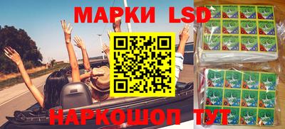 гашик Донской
