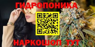 гашик Донской