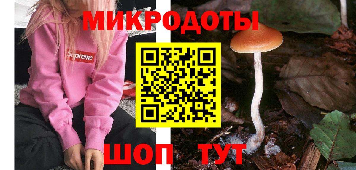 Псилоцибиновые грибы Psilocybine cubensis  Вход с VPN  Магадан  Псилоцибиновые грибы Psilocybine cubensis 