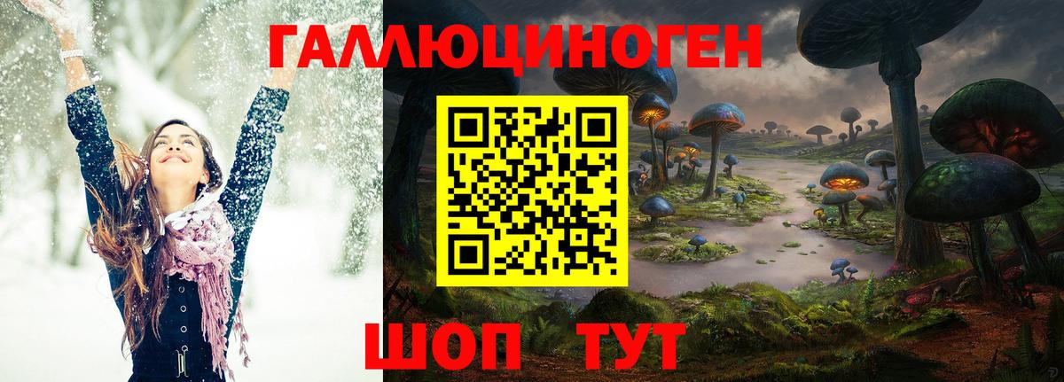 Псилоцибиновые грибы прущие грибы Магадан